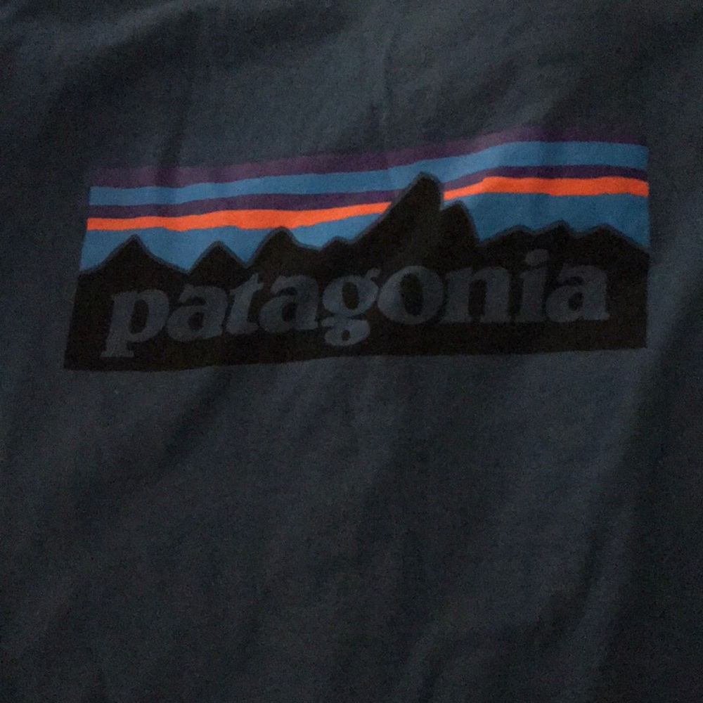 nwot patagonia tee! size large
